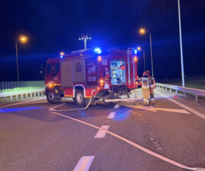 Mustang stanął w płomieniach na S3. Akcja strażaków na Dolnym Śląsku