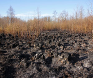 Biebrzański Park Narodowy UGASZONY. Zobacz, jakie zniszczenia spowodował ogień