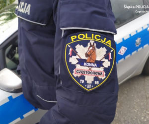 Częstochowa: Samochód z malutkimi dziećmi w środku NAGLE zapłonął! [ZDJĘCIA]