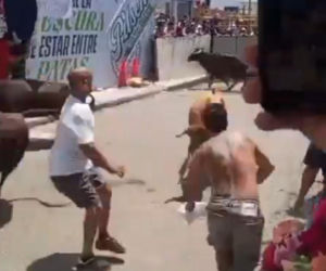 Szokujące sceny podczas gonitwy byków. Mężczyzna oszukał przeznaczenie