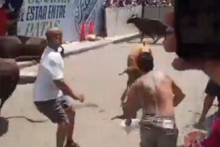 Szokujące sceny podczas gonitwy byków. Mężczyzna oszukał przeznaczenie