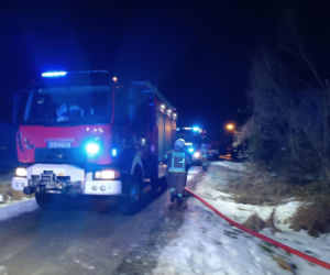 Akcja gaśnicza w Dębinie. Ogień strawił budynek z drobiem