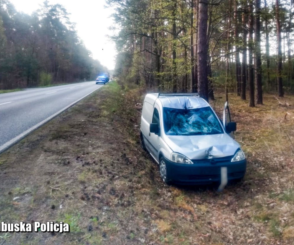Rowerzysta zginął pod kołami samochodu. Tragiczny wypadek pod Nową Solą