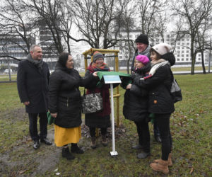 Powstańcy zapuścili korzenie. 20 drzew dla bohaterów w parku na Woli