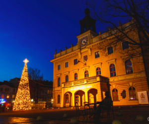 Choinka w centrum Ostrowa