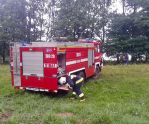 Wielki pożar w Małopolsce. Spłonęło bydło i pies