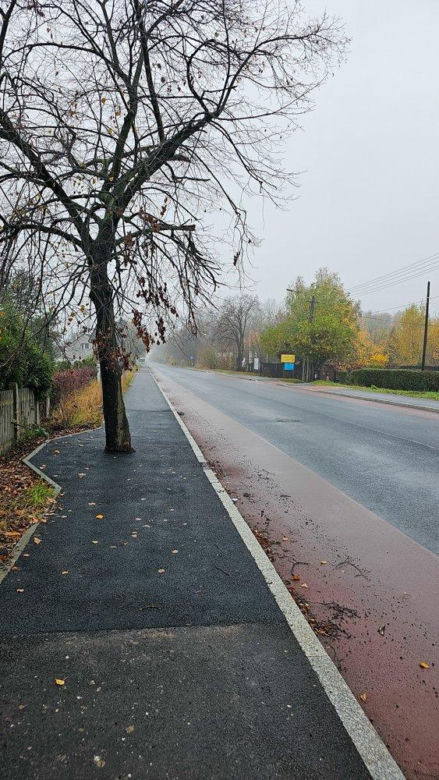 W Łodzi zabetonowano auto, w Jaworznie... drzewo na środku chodnika. Budowlańcy zaskakują fantazją