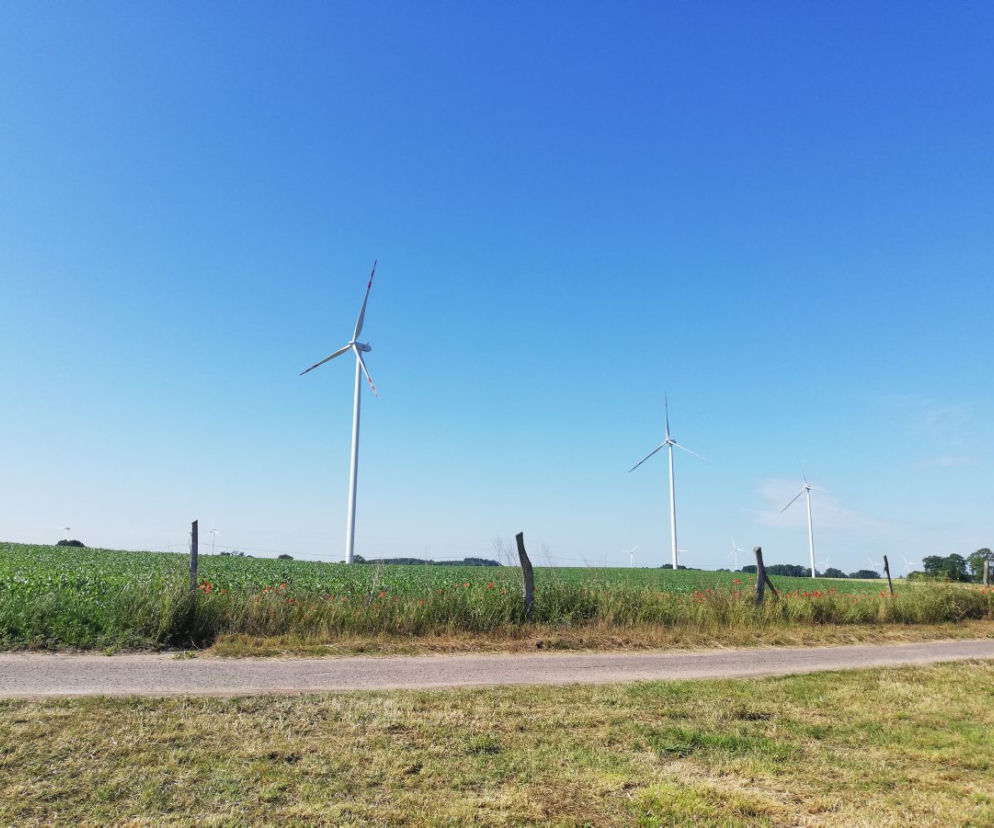 Coraz więcej odnawialnych źródeł energii w Polsce. PGE otwiera kolejne farmy wiatrowe 