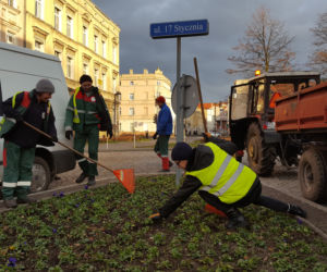 Za nieco ponad miesiąc wiosna! Na skwerach w Lesznie zaczęły się już pozimowe porządki