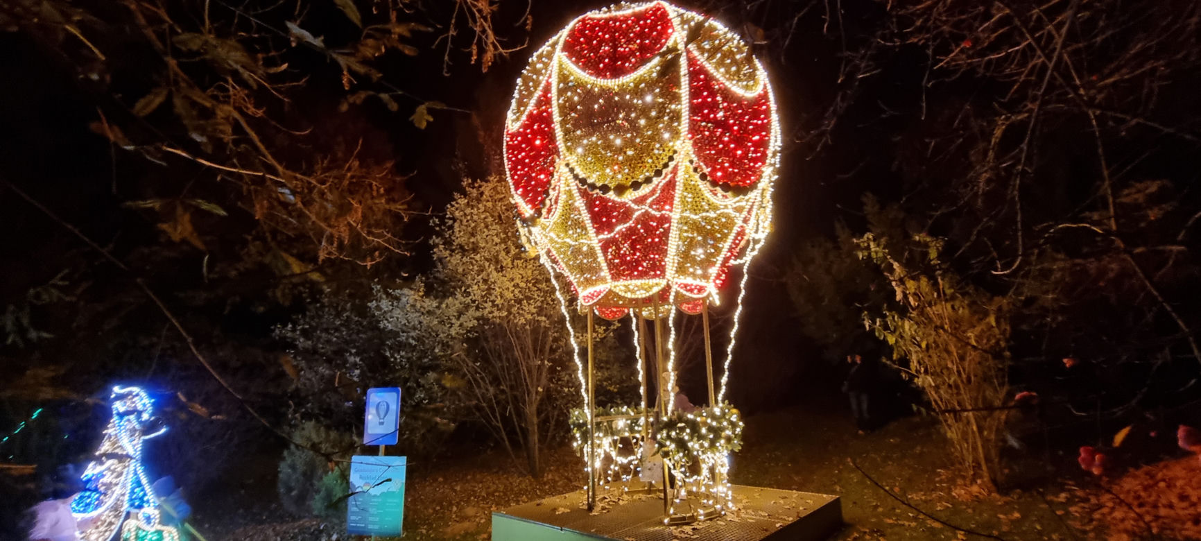 Ogród Botaniczny po zmroku zamienia się w magiczny ogród [GALERIA]