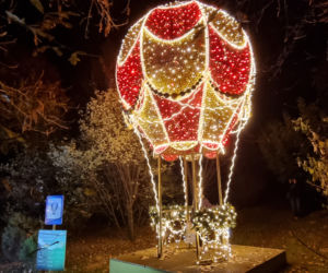 Ogród Botaniczny po zmroku zamienia się w magiczny ogród [GALERIA]