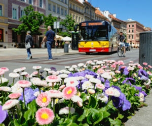 Pogoda w majówkę 2026. Tak wyglądają prognozy dla Warszawy