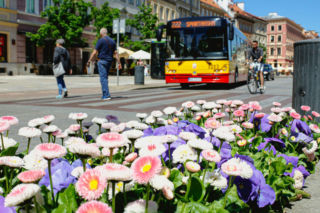 Pogoda w majówkę 2026. Tak wyglądają prognozy dla Warszawy
