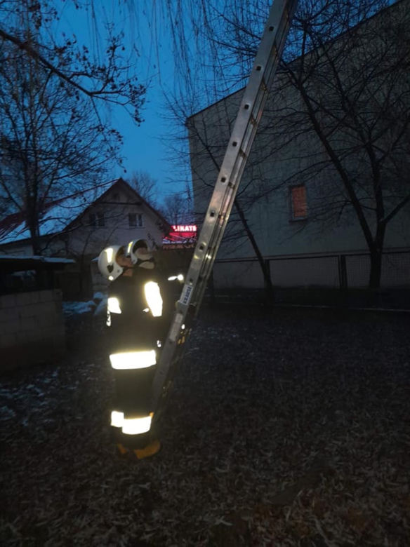 Strażacy ściągnęli mruczka