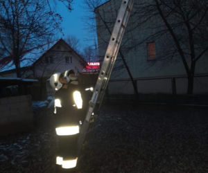 Strażacy ściągnęli mruczka