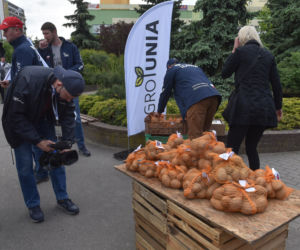 Nietypowy protest Agrounii. Rolnicy rozdawali ziemniaki w Toruniu