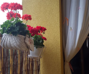 balkon 2015 zdjecie nr 6