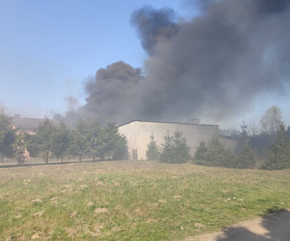 Mława. Dla zabawy bawili się ogniem. Spowodowali OGROMNY POŻAR garaży i samochodów!