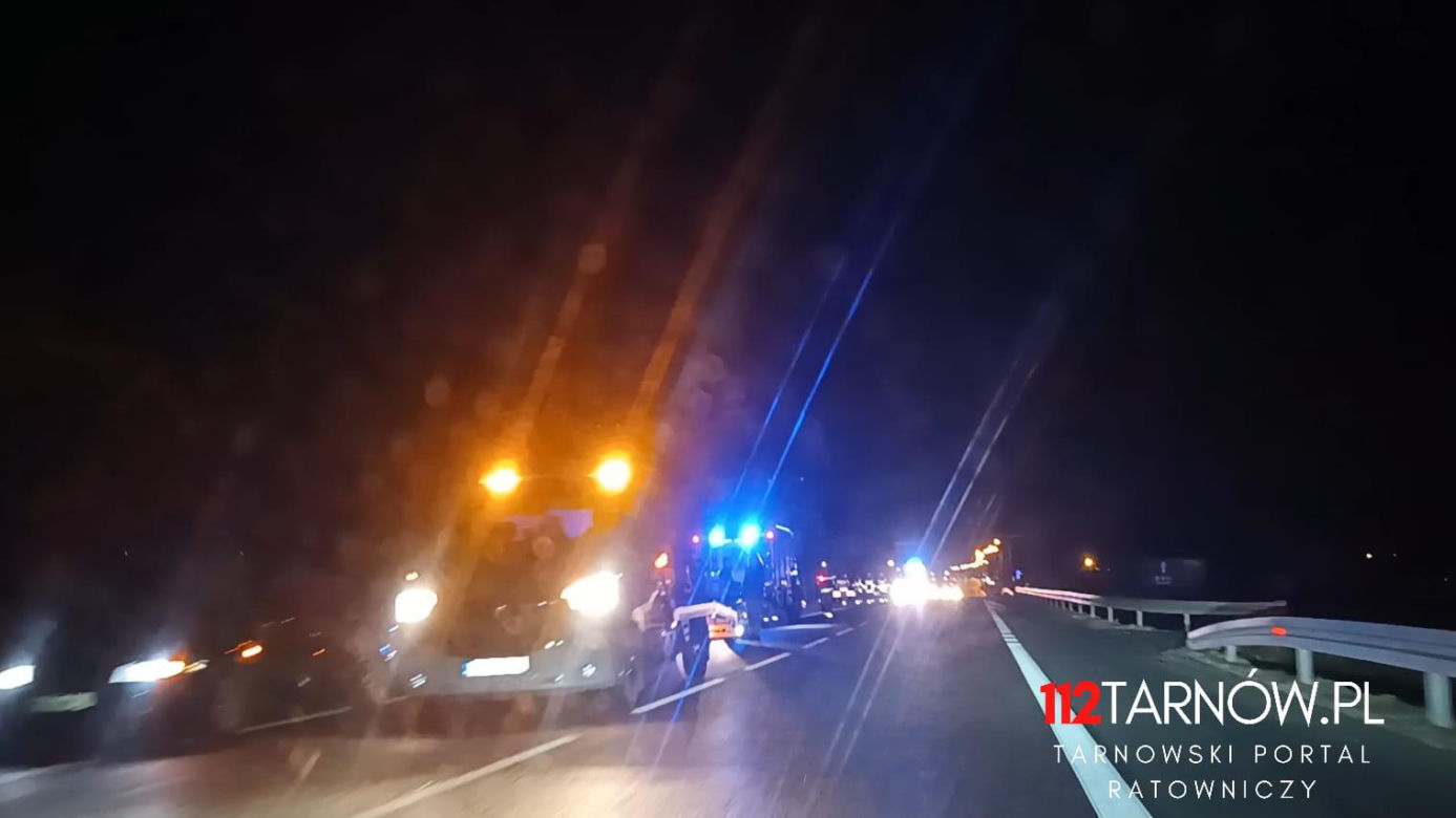 Dębno. Osobówka uderzyła w stado dzików na DK 94