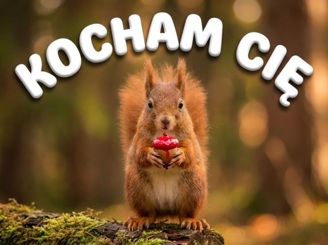 Piękne kartki na Walentynki dla Niego i dla Niej