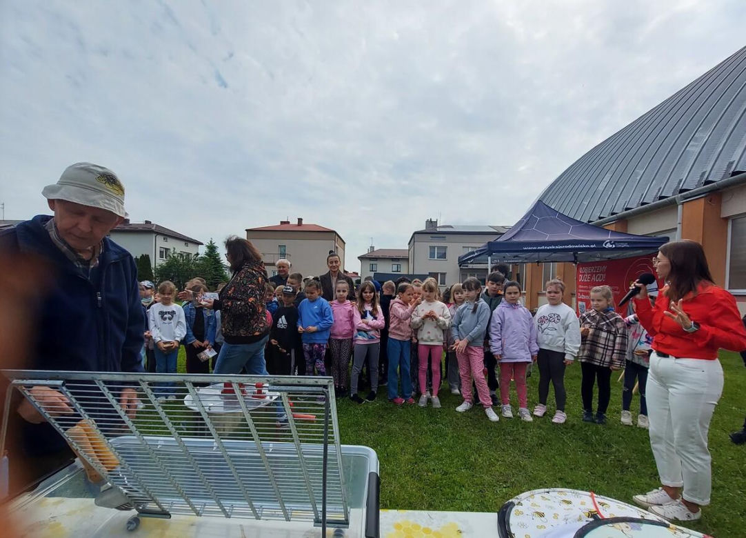 4. Miejskie Miodobranie w Zamościu