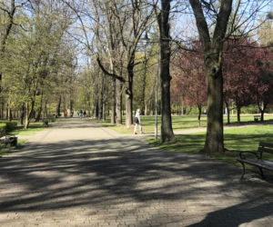 Katowice: Tłumy w Parku Kościuszki. Mieszkańcy ruszyli na spacery