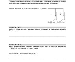 Matura 2019 chemia rozszerzona. ARKUSZE I ODPOWIEDZI