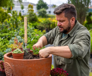 Murator Ogroduje, realizacje