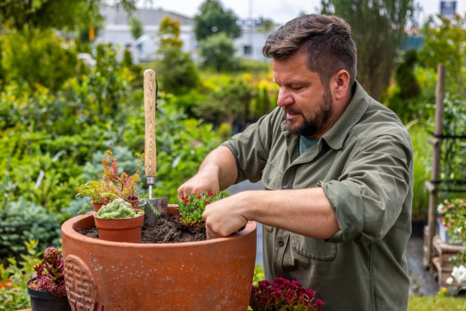 Murator Ogroduje, realizacje
