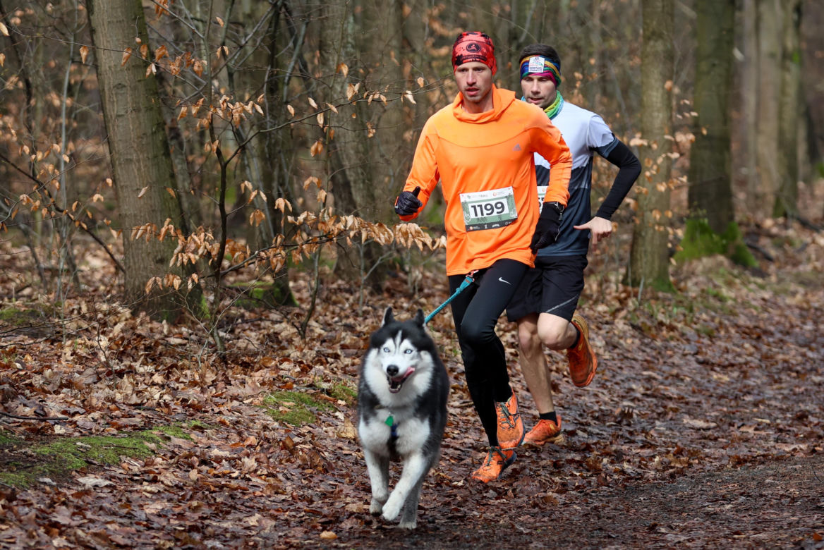 Bieg City Trail w Katowicach