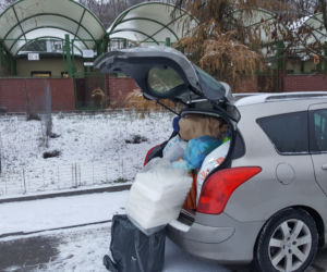 Mnóstwo darów dla bydgoskiego schroniska! Za nami finał akcji Paka dla zwierzaka!