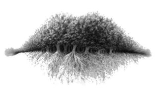 Test na spostrzegawczość. To, co zobaczysz jako pierwsze, obnaży twój charakter