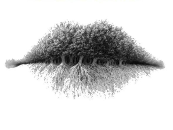 Test na spostrzegawczość. To, co zobaczysz jako pierwsze, obnaży twój charakter