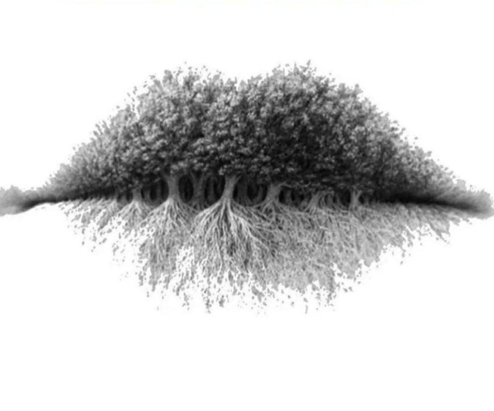 Co widzisz na obrazku