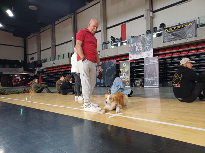 Psy służbowe, szkolenia i strefa pierwszej pomocy. Trwa drugi dzień CERBERUS K9 w Ostrowie