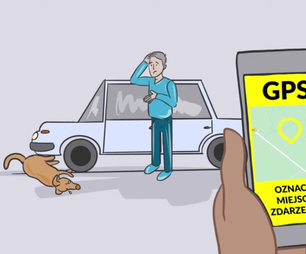 Animal Helper