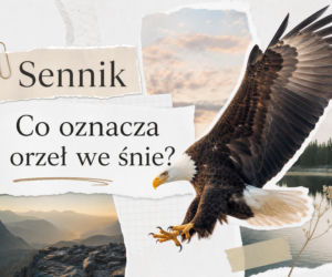 Orzeł we śnie: znaczenie snu i możliwe interpretacje
