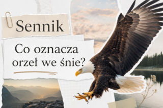 Orzeł we śnie: znaczenie snu i możliwe interpretacje