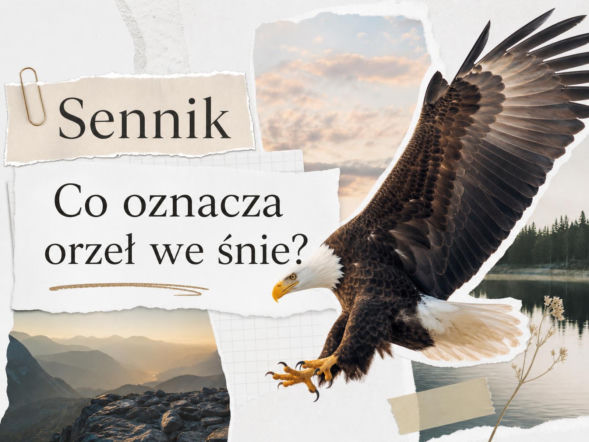Orzeł we śnie: znaczenie snu i możliwe interpretacje