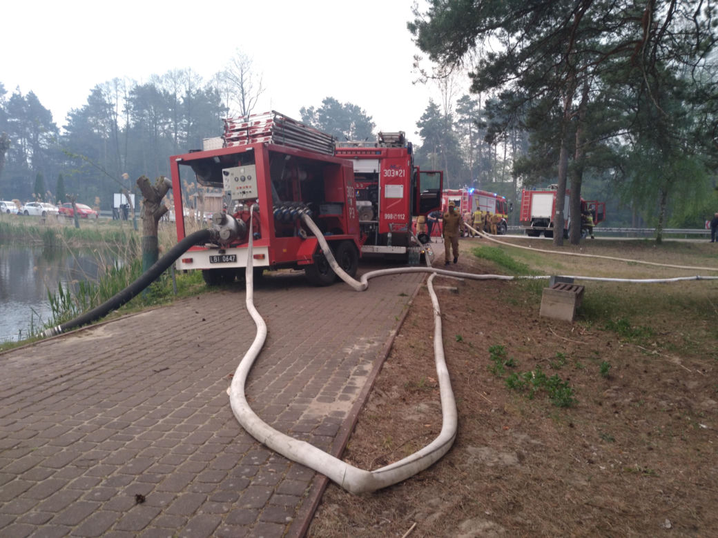 Pożar w Puszczy Białowieskiej