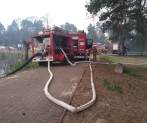 Pożar w Puszczy Białowieskiej