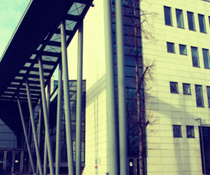 uniwersytet śląski sosnowiec