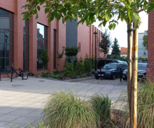 Nowy ciąg pieszo-rowerowy i zieleń w nietypowym miejscu. Takie zmiany czekają ulicę Dąbrowskiego w Lesznie