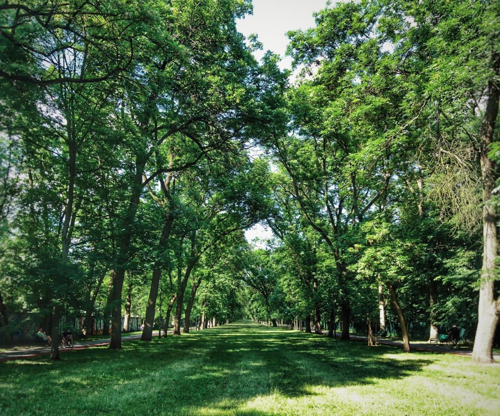 W upalne dni uciekamy do parków
