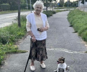 Pani Ludwika skończyła 100 lat