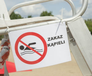 Sinice w Jeziorku Czerniakowskim