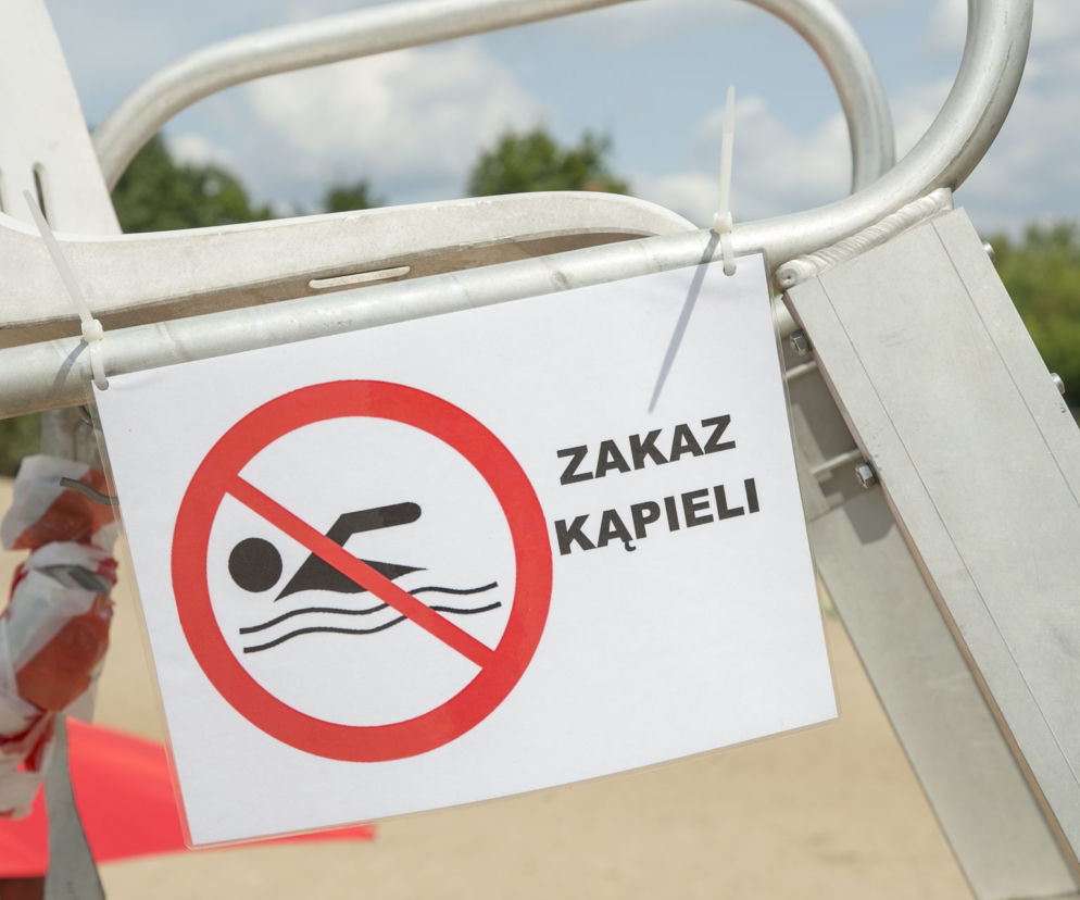 Sinice w Jeziorku Czerniakowskim