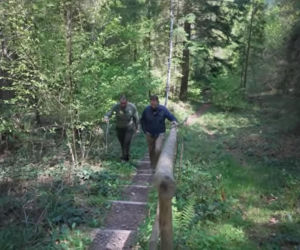 Niedźwiedzie coraz bliżej ludzi. Strach w Bieszczadach narasta: „Boimy się wyjść z domu”