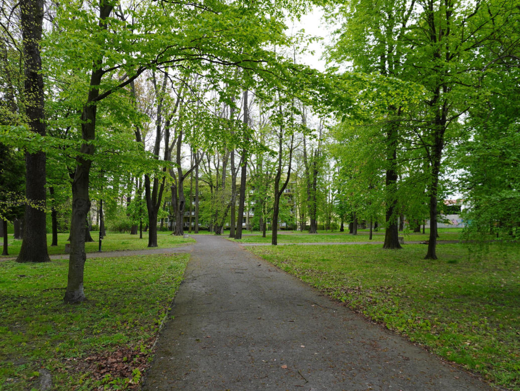 Park Bronowice wiosną 2024