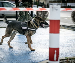 Orzysz. Szturm na urząd miejski. Żołnierze zablokowali centrum miasta [ZDJĘCIA]